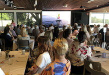 Inclusion in the spotlight