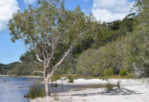 Uniting knowledge and culture