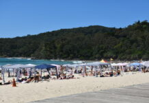 Noosa locals to rally for shark net removal this Saturday