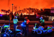 Peregian bushfires among unforgettable moments in officer’s 30-year career