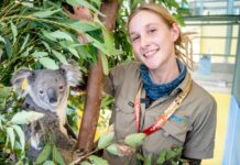 Help grow fresh food for koalas in need