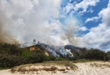 Campfire sparks Teewah grassfire