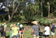 Take a walk in the rainforest