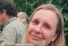 Koala roadkill soars in Noosa