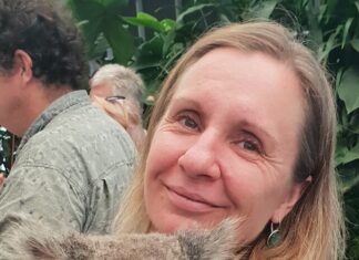 Koala roadkill soars in Noosa