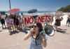 Protest calls for shark net removal