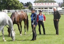 Sparkle in the skies