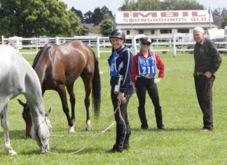 Sparkle in the skies