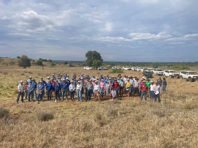 2410THEODO_510934_03