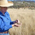 2410THEODO_510934_14