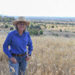 2410THEODO_510934_15