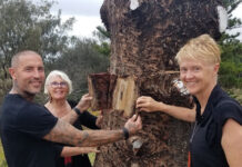 Guide for coastal custodians