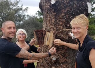 Guide for coastal custodians