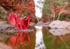 Discover the Red Centre’s best kept season