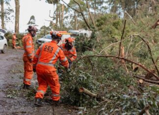 50 years of SES in Noosa