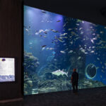 aquarium_518396_02