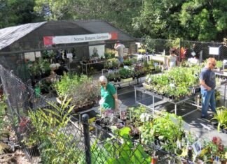 When only the best will do