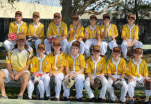 New softball team swings into success