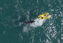 LGAQ motions become voice for community