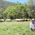 0512KANDAN_521607_01