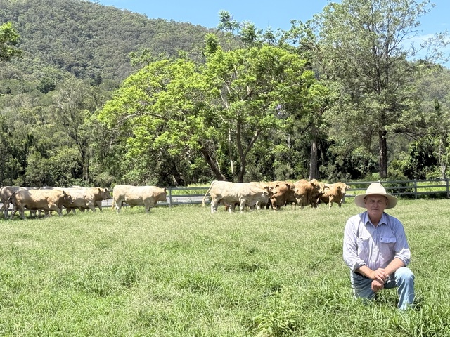 0512KANDAN_521607_01