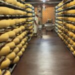 0512MALENY_519459_07