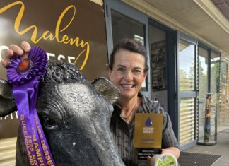 Climbing the cheese mountain