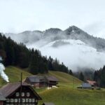 0512MALENY_519459_23