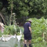 1001ORGANI_450546_15