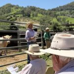 1912KANDAN_525006_04