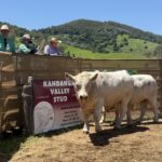 1912KANDAN_525006_05