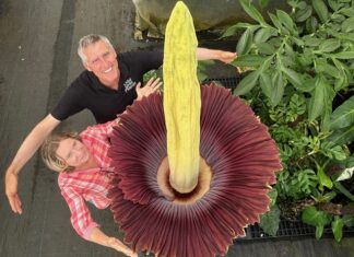 2025: A year of unpredictability