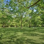 2811NTPROP_515565_10