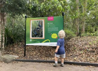 Experience nature through eyes of youth