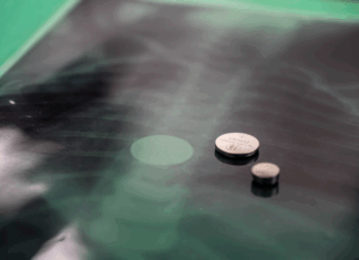 Toys on the naughty list