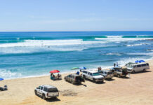 Memories are made of brine