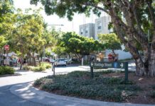 Traffic changes in Hastings Street