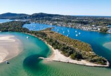 For the Love of Noosa plan endorsed