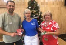 Classic support for Salvos