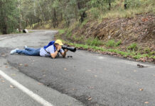 Surprising habits of wildlife