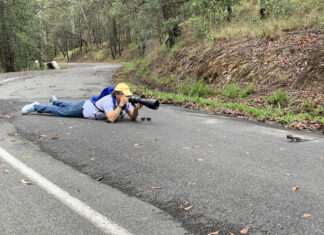 Surprising habits of wildlife