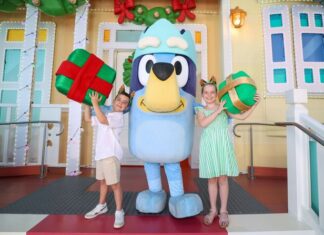 Christmas experience for the grandkids