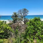 poisoning_521721_01-3