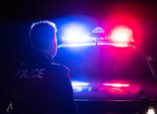 Car crash information appeal