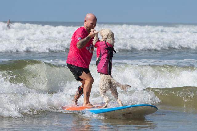 surfdogs_271334_04