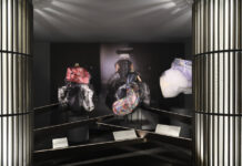 Iconic rebels take centre stage at the NGV