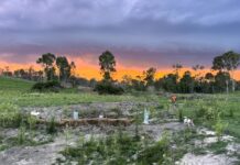 Tackling life head-on