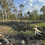 1909REINKE_501739_13