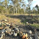 1909REINKE_501739_14