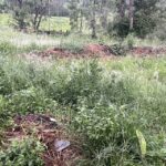 1909REINKE_501739_16